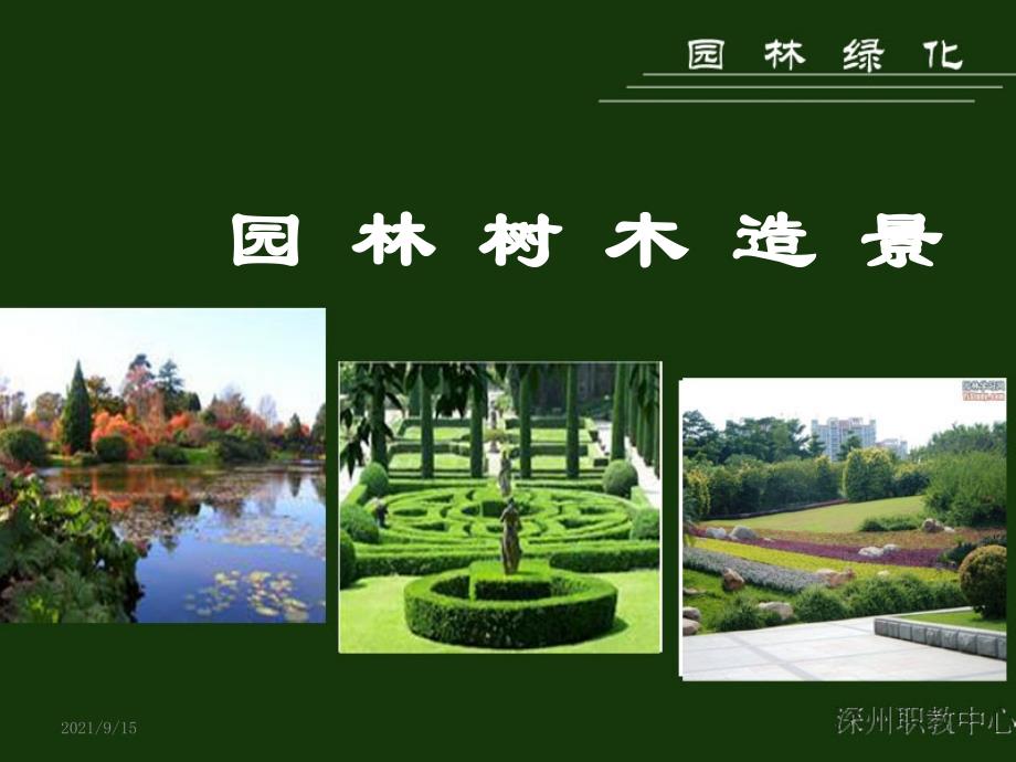 园林树木造景_第1页