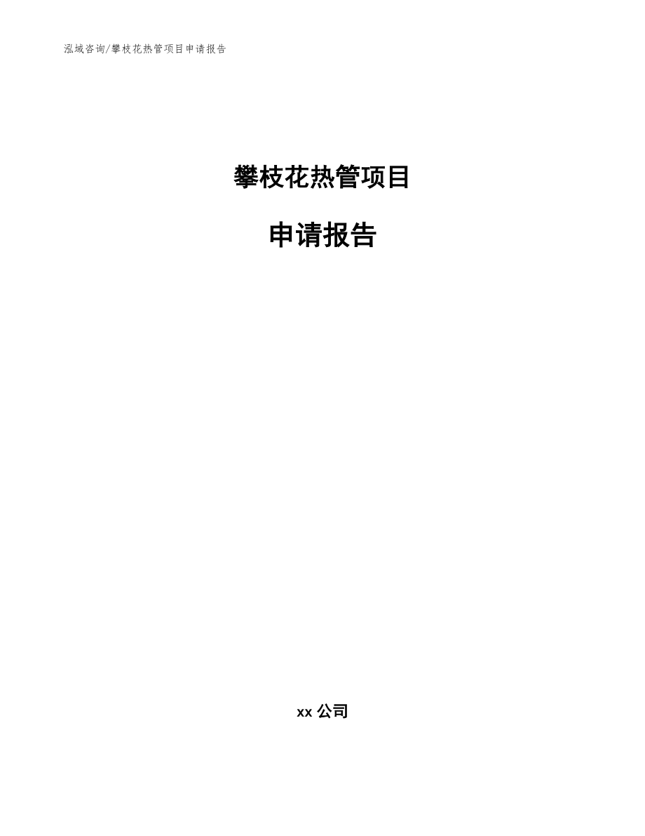 攀枝花热管项目申请报告（范文模板）_第1页