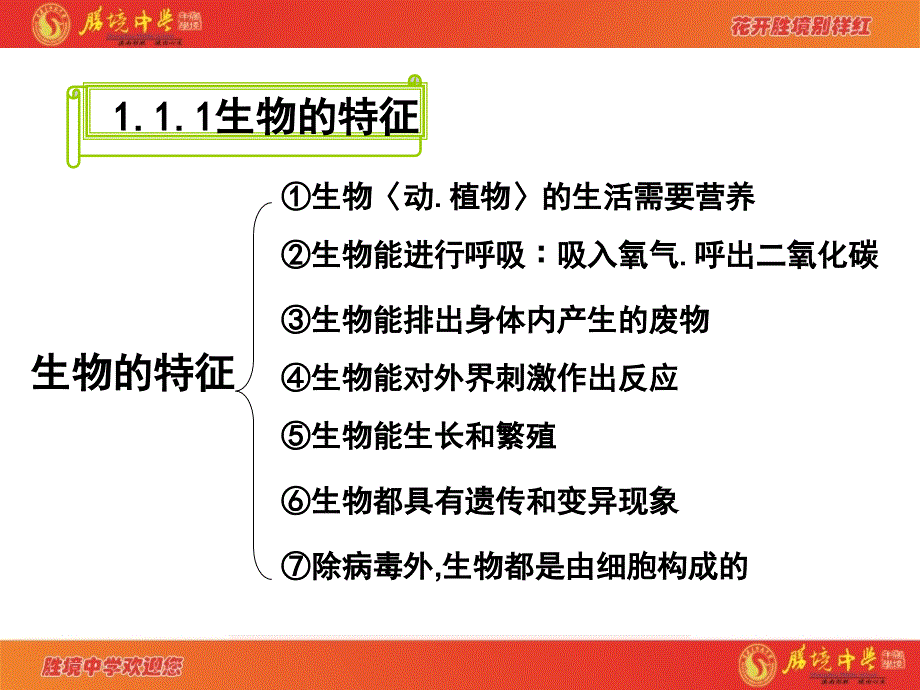 七年级上册生物复习课件_第2页