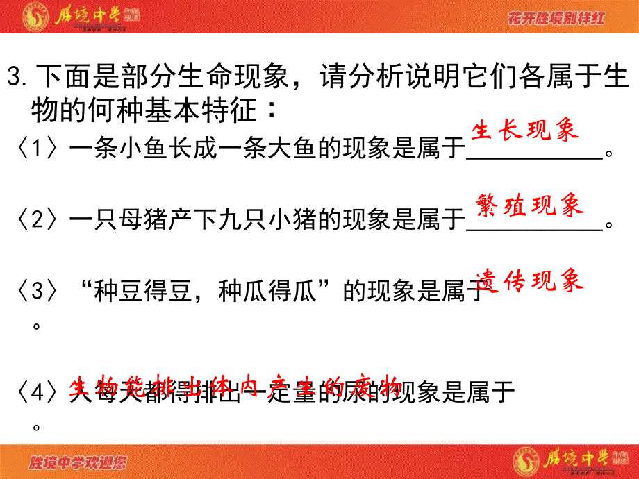 七年级上册生物复习课件_第4页