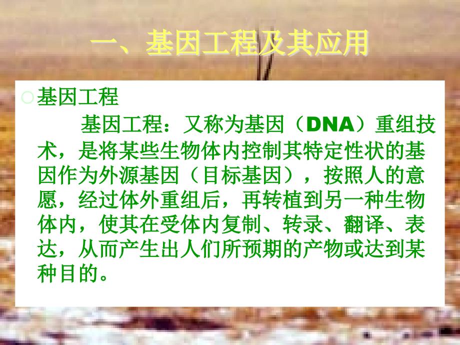 《转基因生物安全》PPT课件.ppt_第3页