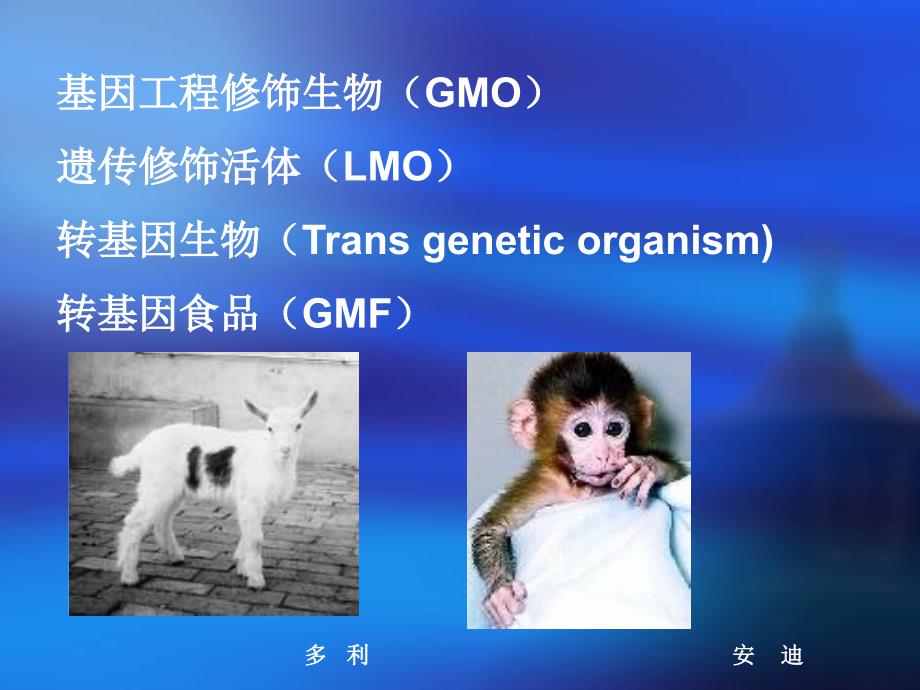 《转基因生物安全》PPT课件.ppt_第4页