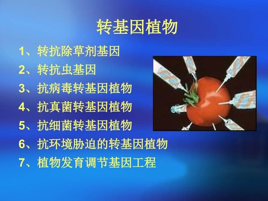 《转基因生物安全》PPT课件.ppt_第5页