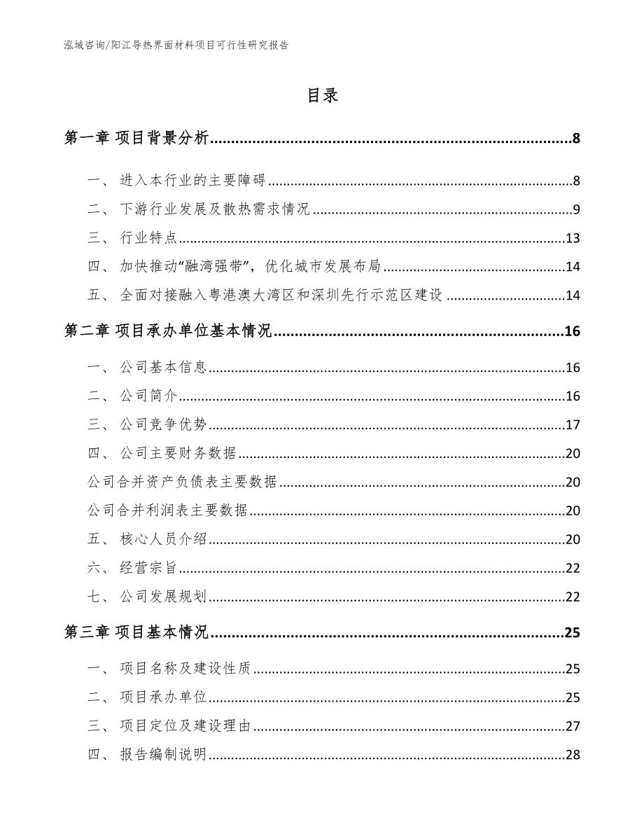 阳江导热界面材料项目可行性研究报告_参考范文_第1页