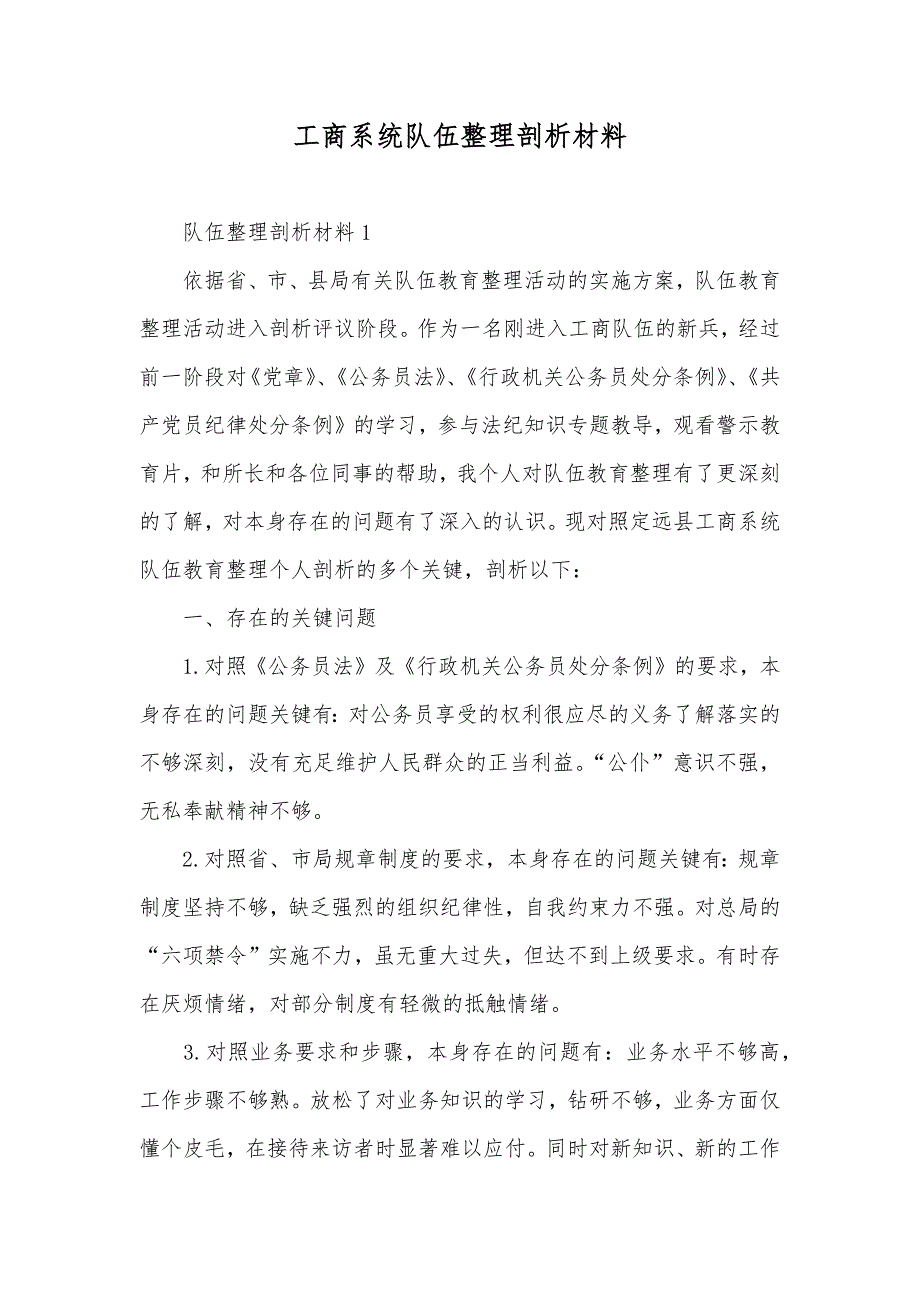 工商系统队伍整理剖析材料_第1页