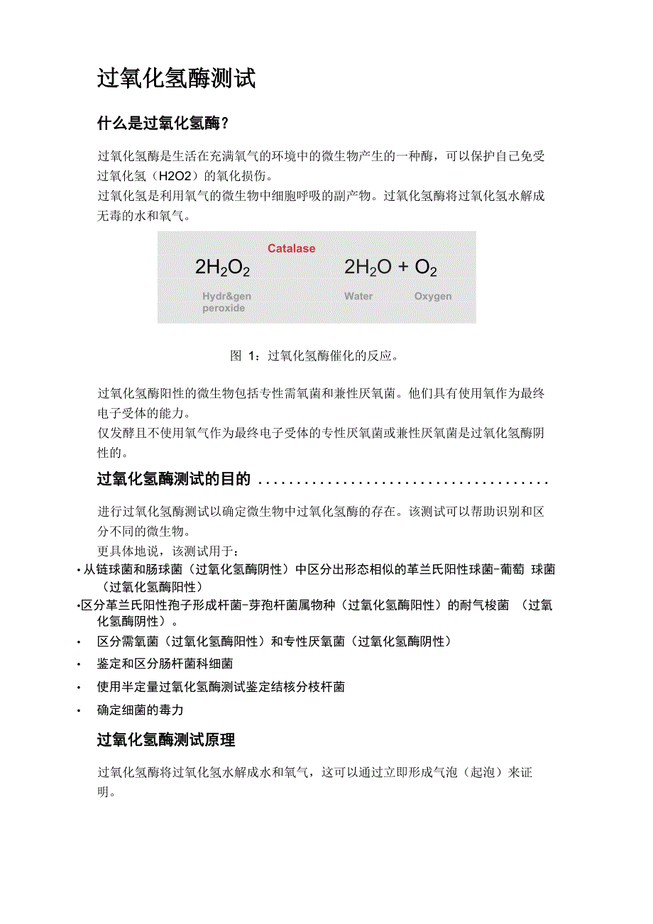 过氧化氢酶测试_第1页