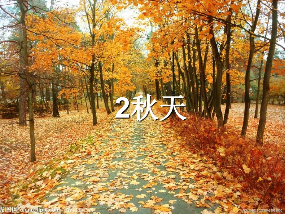 2022秋人教版语文二年级上册选读2《秋天》ppt课件_第1页
