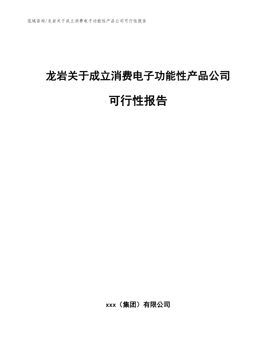 龙岩关于成立消费电子功能性产品公司可行性报告（模板参考）_第1页