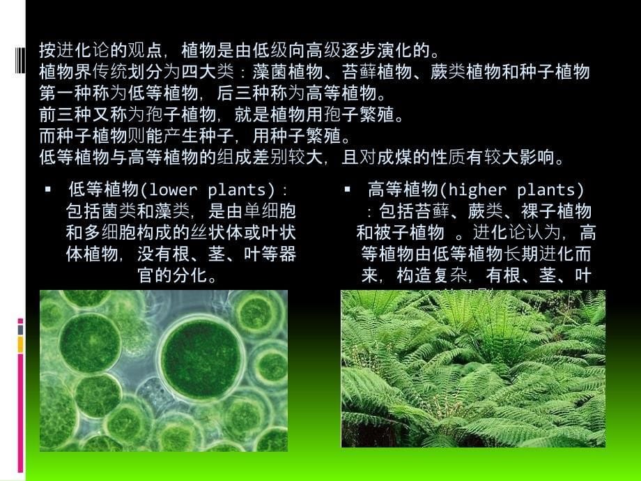 煤炭分类及指标PPT课件_第5页