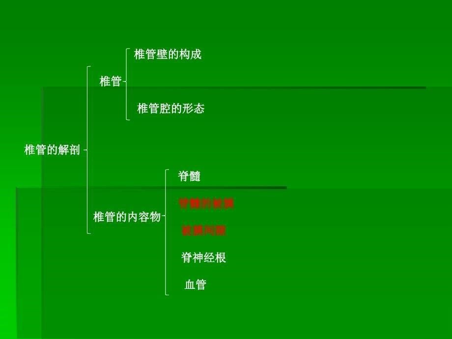 椎管内常见肿瘤的MRI诊断47823.ppt_第5页