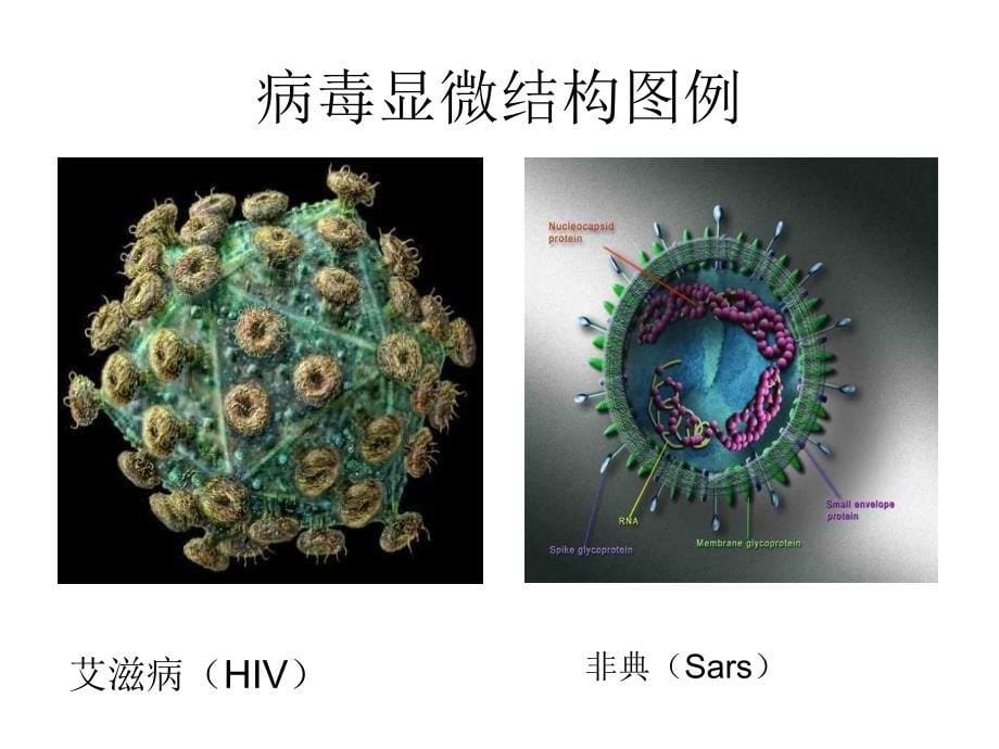 季常见传染病预防知识主题讲座_第5页