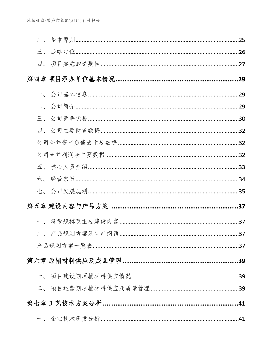 荣成市氢能项目可行性报告模板_第3页