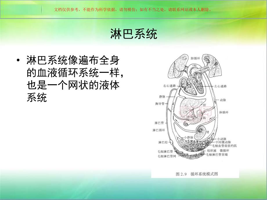 淋巴系统专业知识ppt课件_第1页