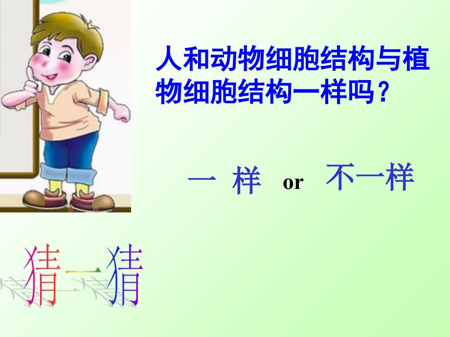 苏教课标版初中生物七年级上册第二单元第四章第二节人和动物细胞的结构和功能2共22张PPT_第2页