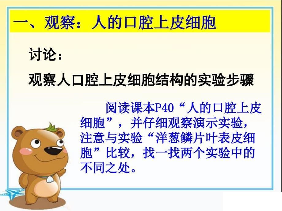 苏教课标版初中生物七年级上册第二单元第四章第二节人和动物细胞的结构和功能2共22张PPT_第5页