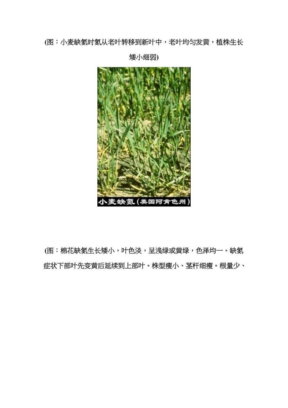 大量元素氮对作物的作用和含氮化肥_第5页
