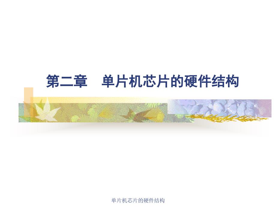 单片机芯片的硬件结构课件_第1页