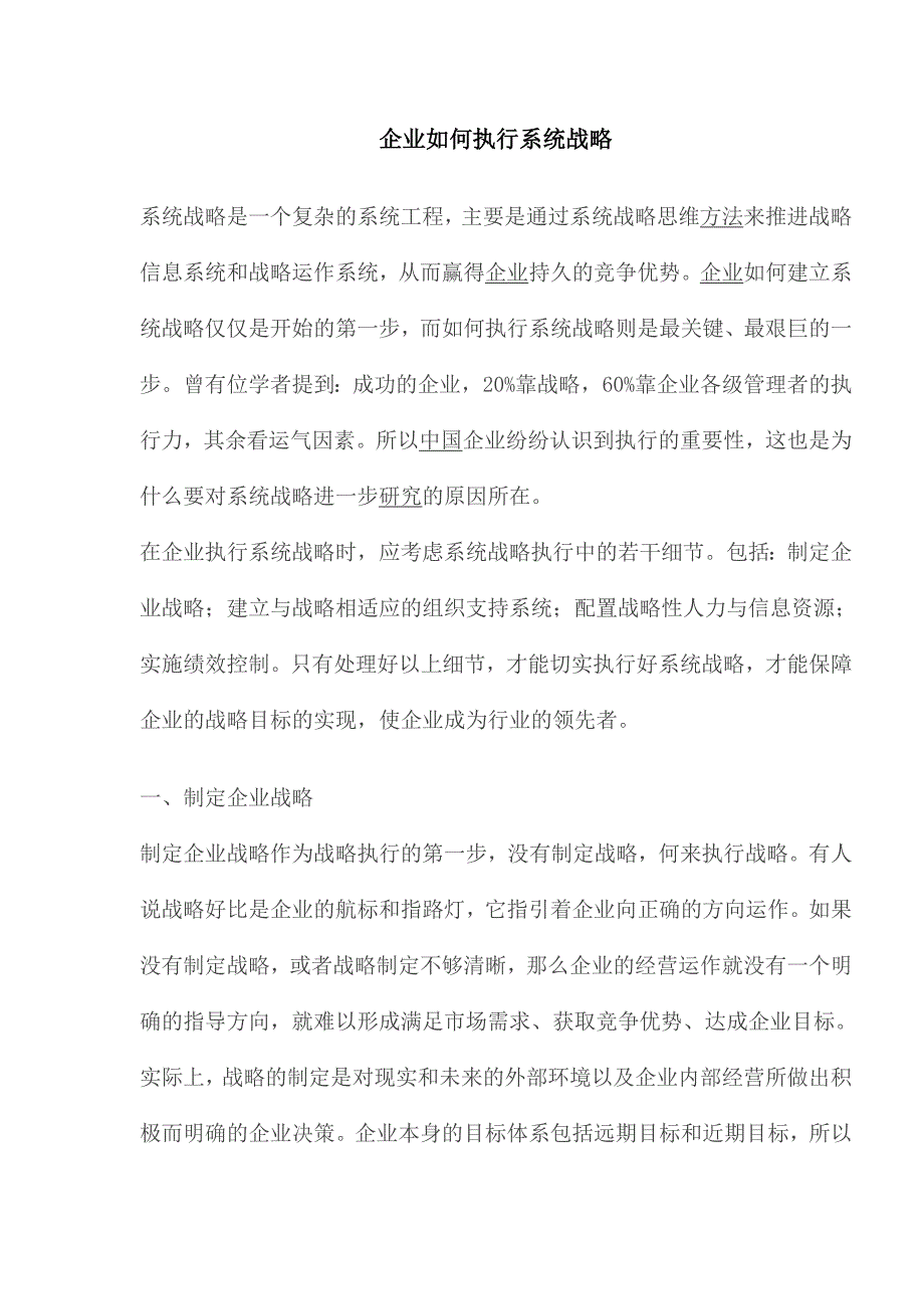 企业战略支持系统制定_第1页