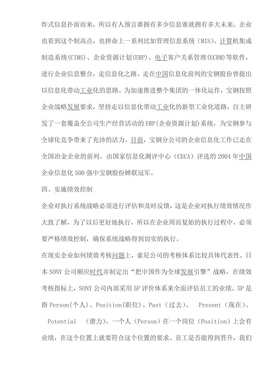 企业战略支持系统制定_第5页