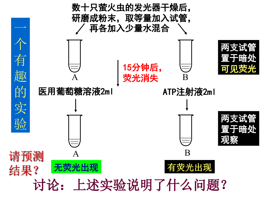 二节新陈代谢与ATP_第3页