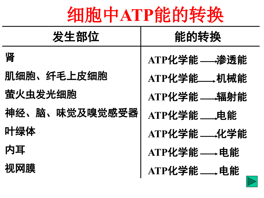 二节新陈代谢与ATP_第4页