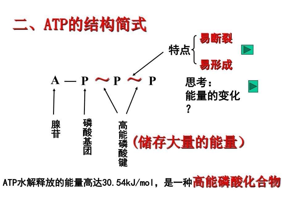 二节新陈代谢与ATP_第5页