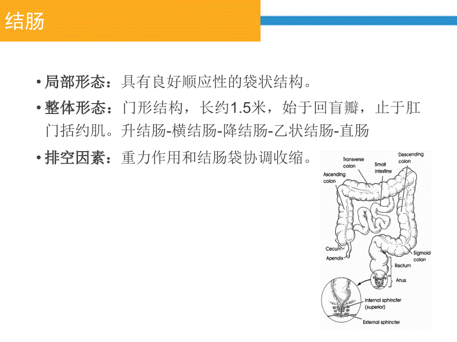 神经源性肠的护理.ppt_第3页