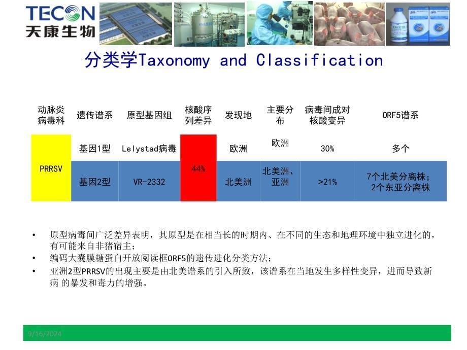 猪蓝耳病PRRSV(猪病学第十版读书笔记)_第5页