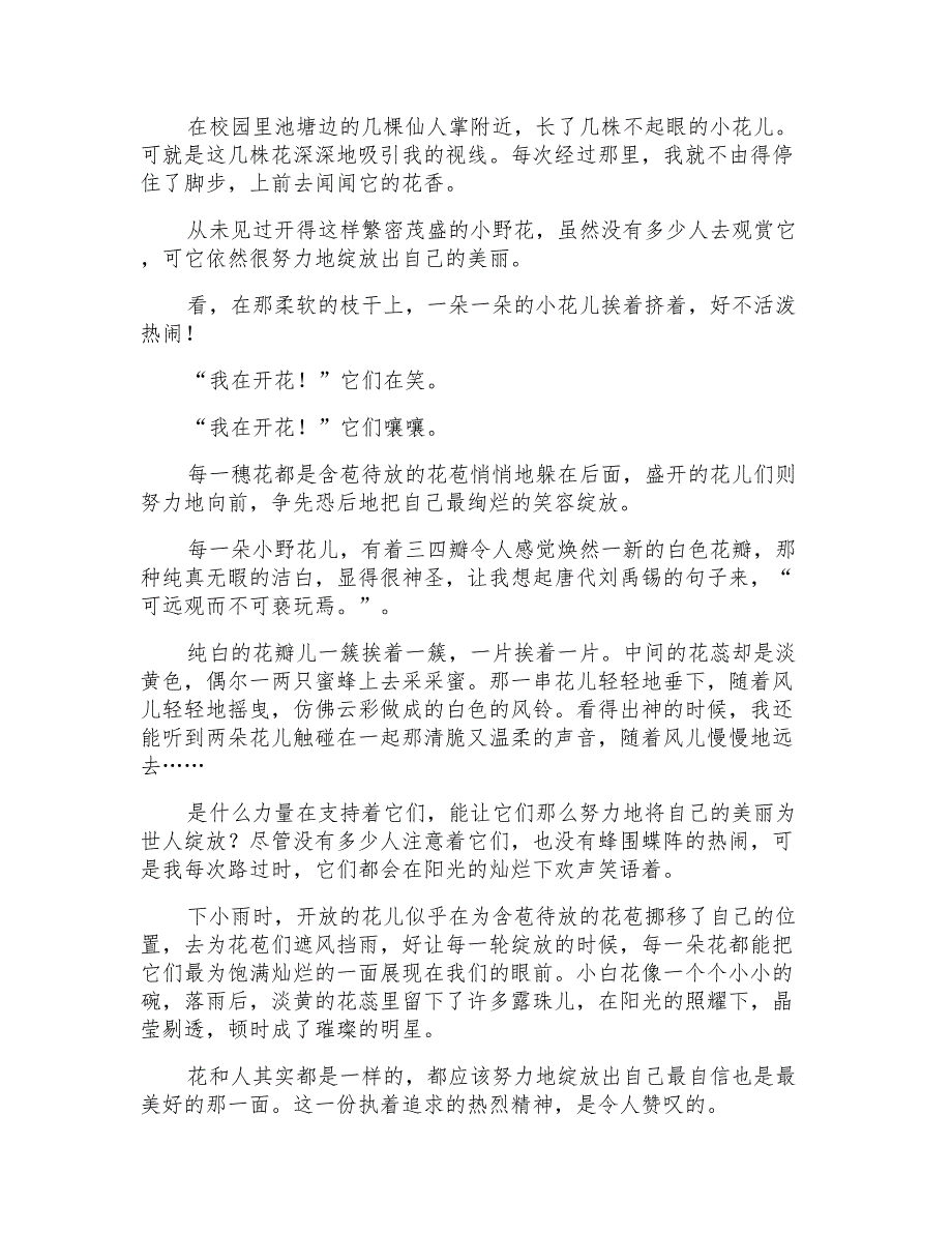 野花作文600字6篇_第3页