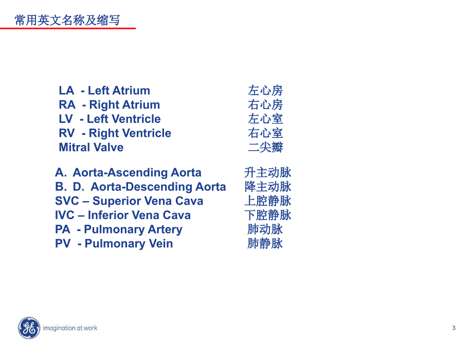 《心脏解剖医学医药》PPT课件.ppt_第3页