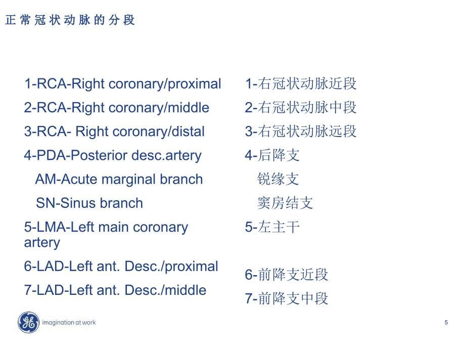 《心脏解剖医学医药》PPT课件.ppt_第5页