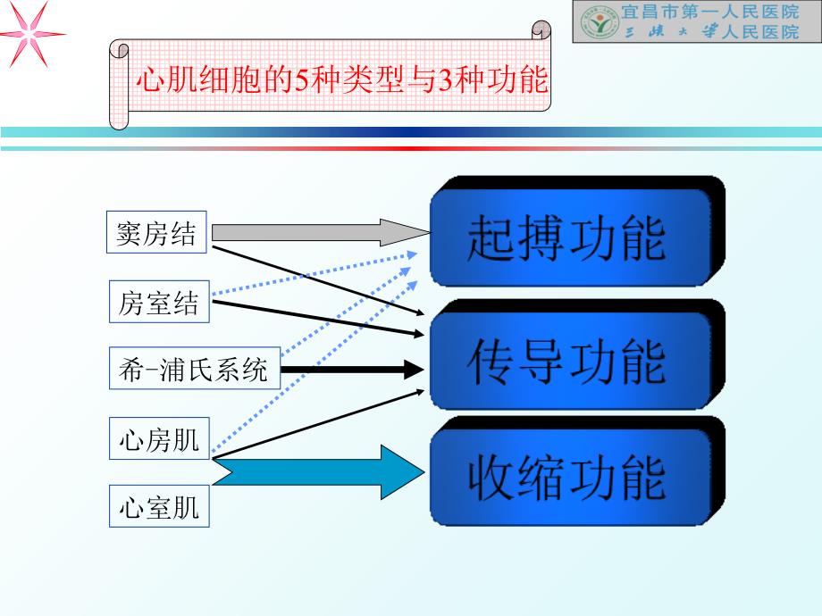 心电图的讲义4精选文档_第3页