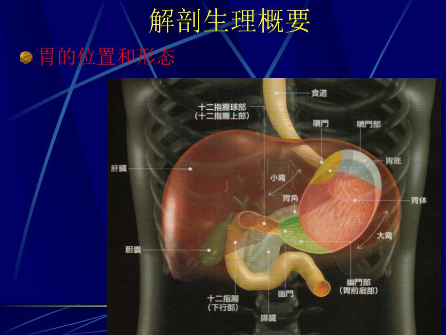 胃十二指肠疾病9_第3页