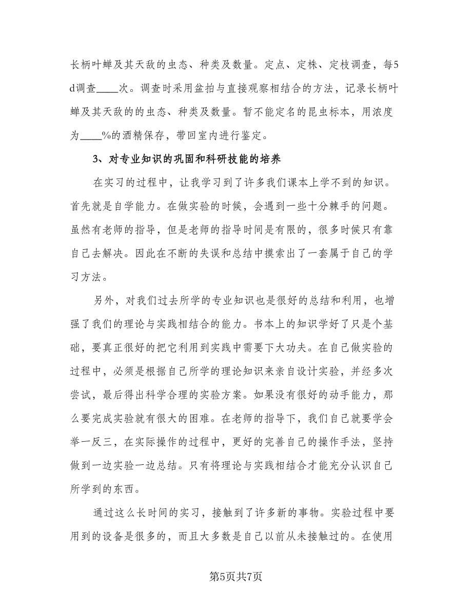 2023本科生毕业实习总结例文（2篇）.doc_第5页