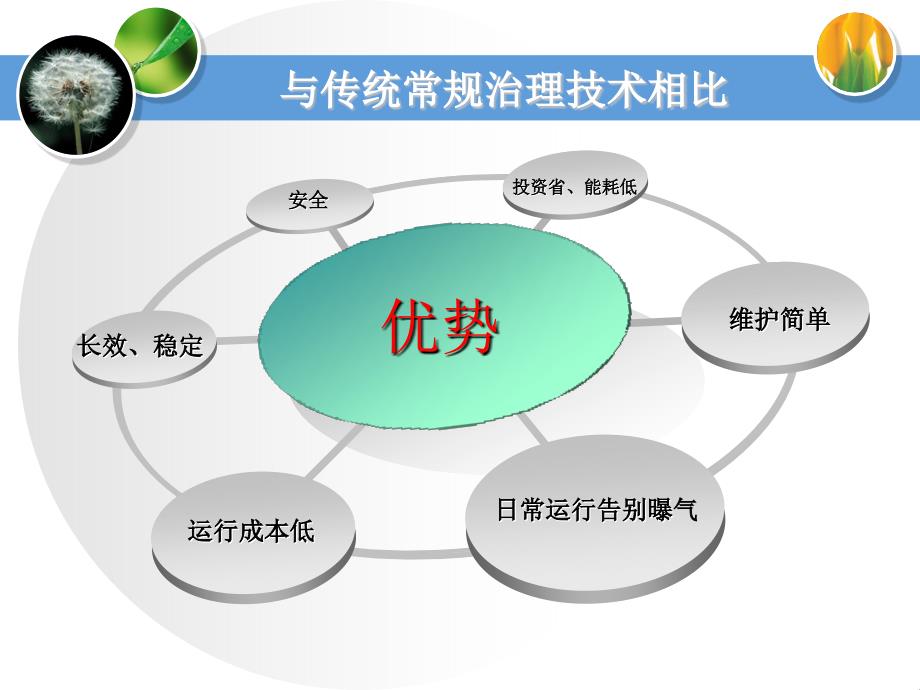 人造水草在河道及景观水体修复中应用教案_第3页