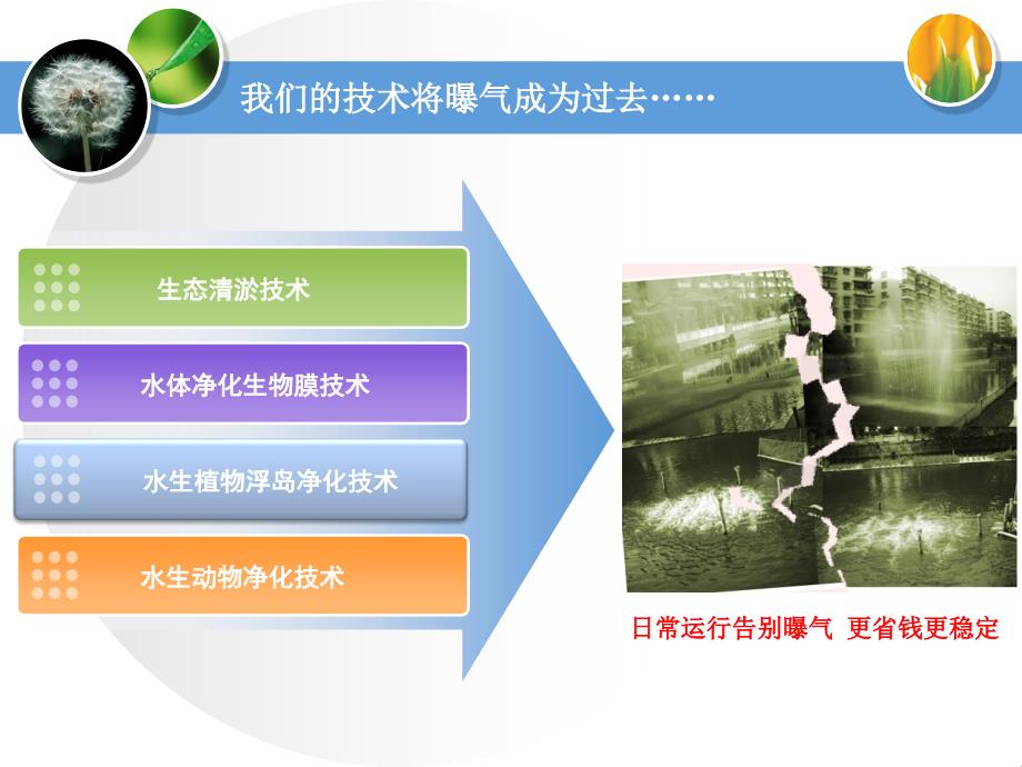 人造水草在河道及景观水体修复中应用教案_第4页