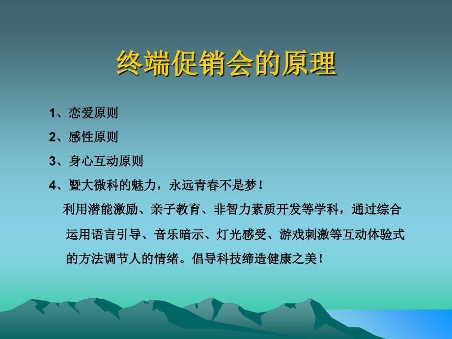 国际终端实战峰会流程课件_第5页