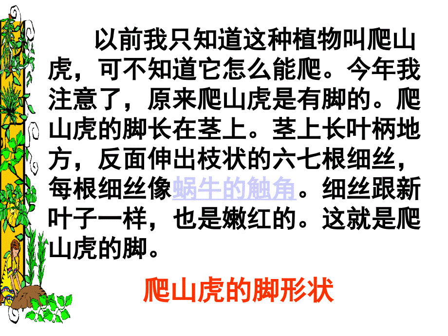 爬山虎的脚 第二课时 PT课件_第3页