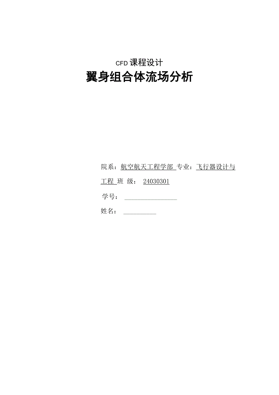 CFD课程设计说明书_第1页