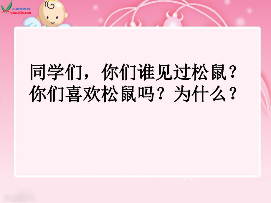 《那只松鼠》课件（湘教版小学语文四年级上册课件）_第3页