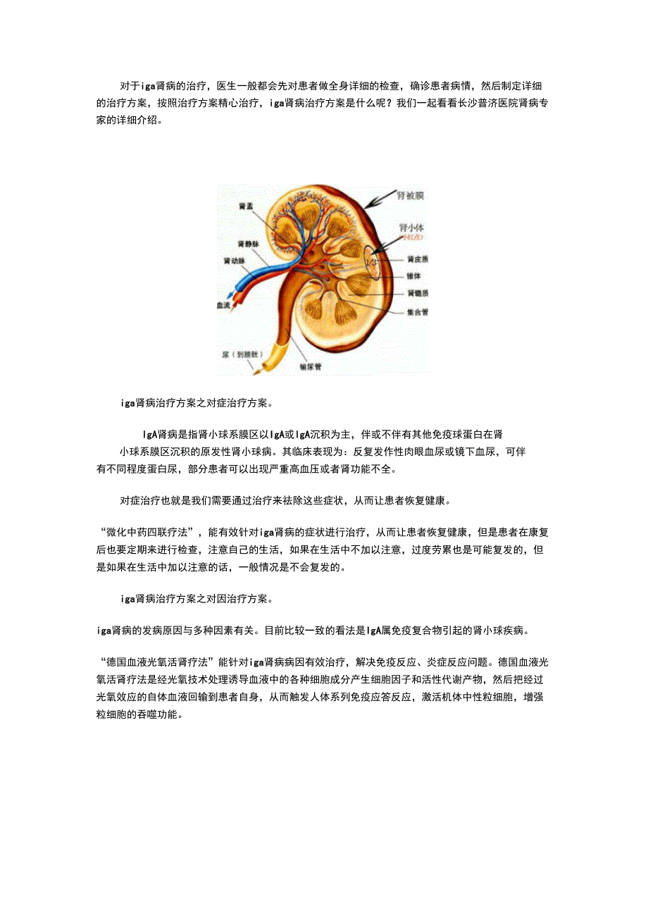 iga肾病治疗方案_第1页