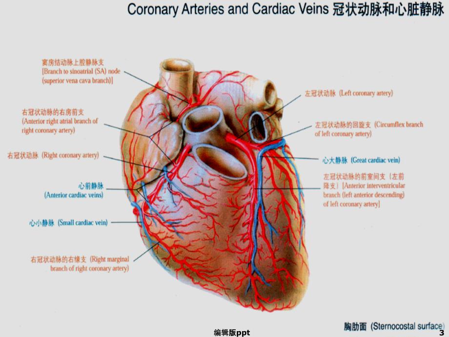 冠心病术后监护课件_第3页