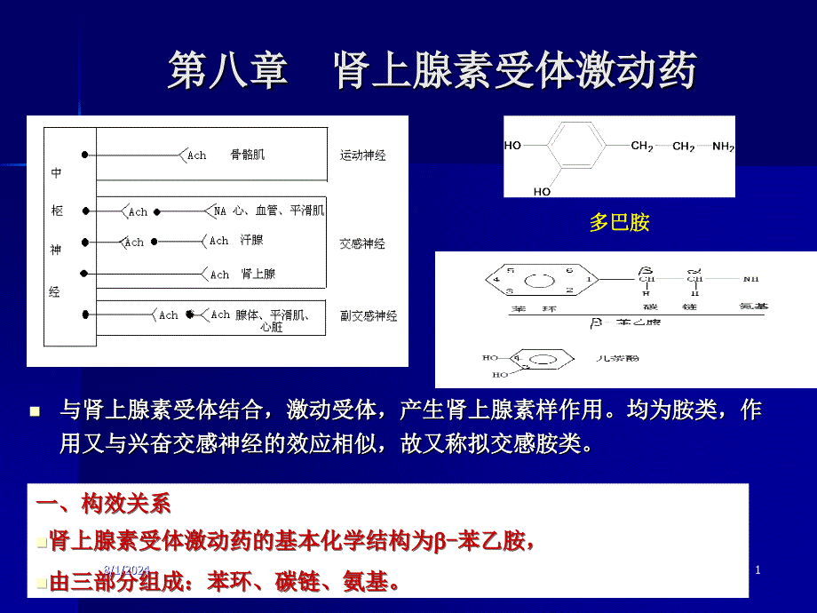 第五讲肾上腺素受体药_第1页