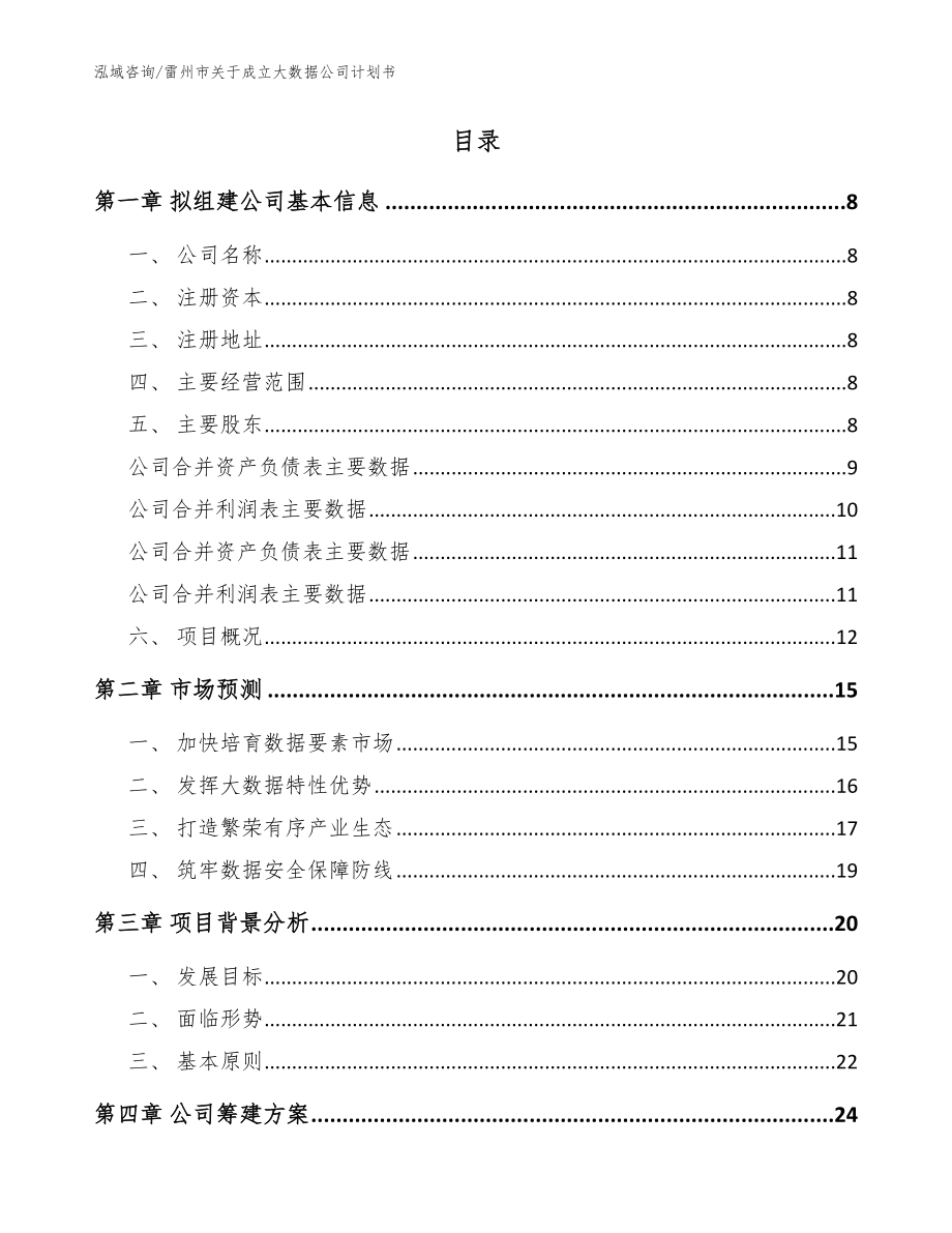 雷州市关于成立大数据公司计划书（参考模板）_第2页