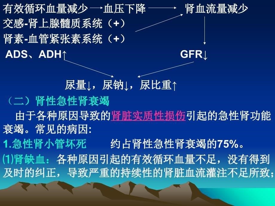 《肾功能不全》PPT课件_第5页