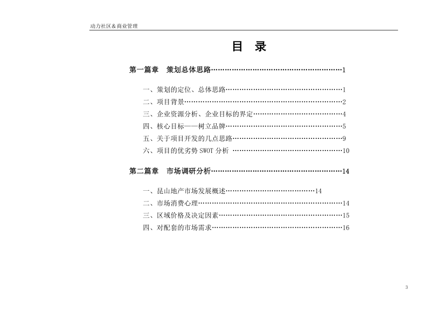 ...金钻策划总纲_第3页