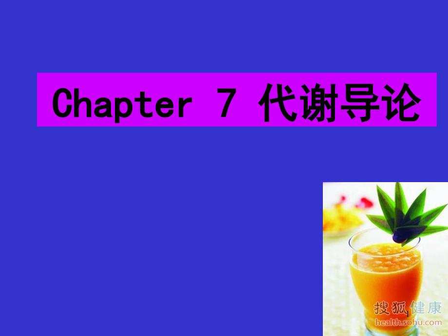 Chapter7代谢导论_第1页