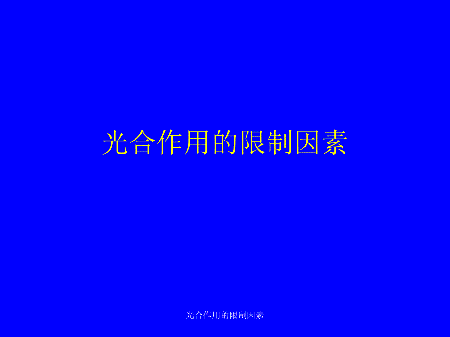 光合作用的限制因素课件_第1页