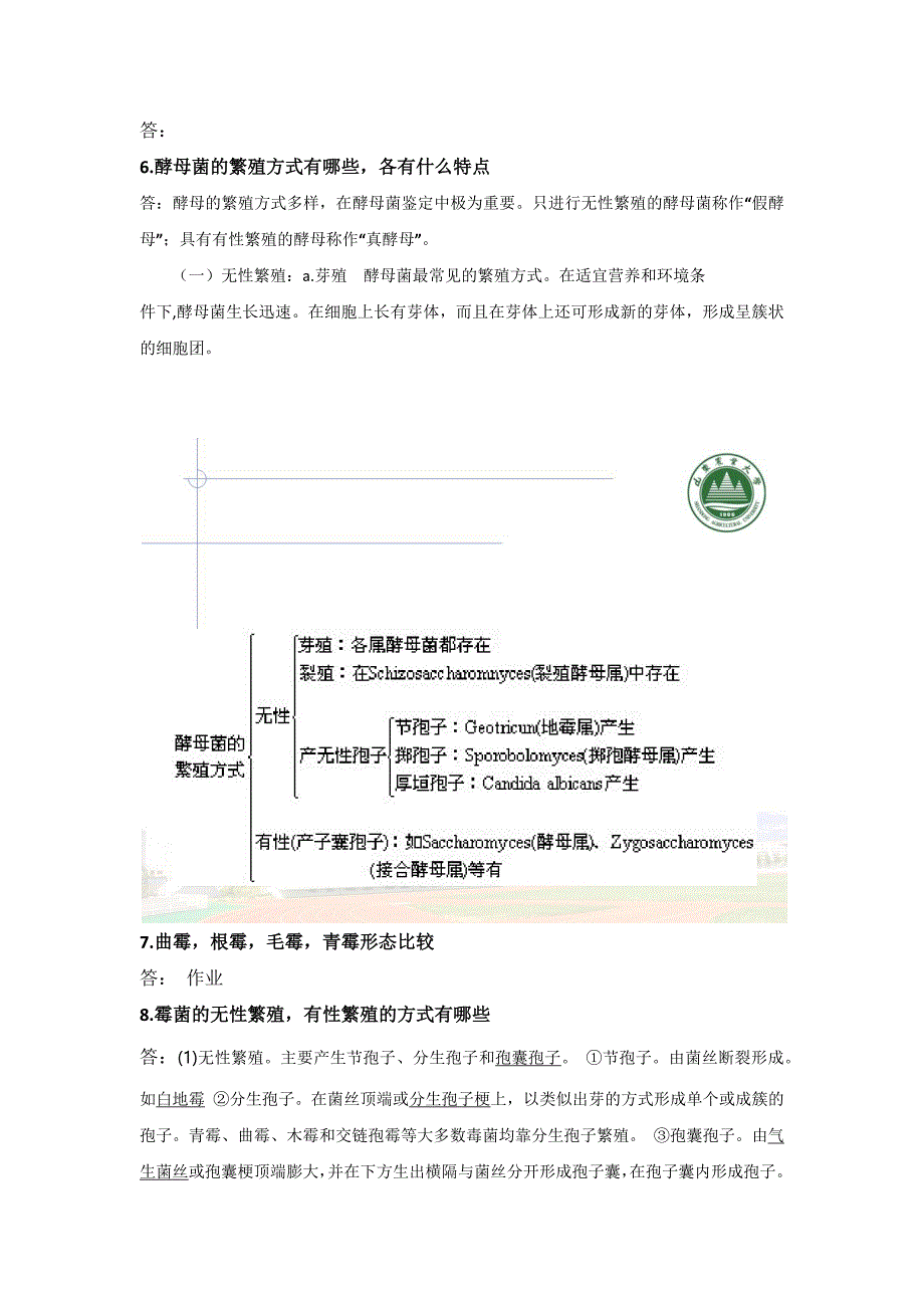 微生物复习_第4页