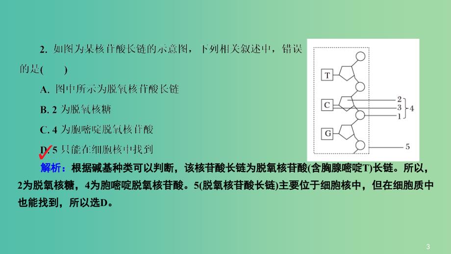 高三生物第一轮总复习 第一编 考点过关练 考点4 核酸的结构和功能课件.ppt_第4页